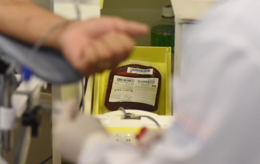 Hemocentro do DF sofre com queda nas doações de sangue; Veja como doar