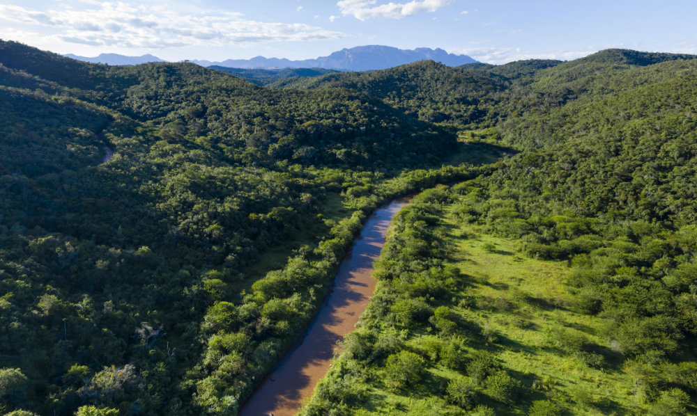 Com imagens inéditas, plataforma virtual permite navegar pelo Rio Doce