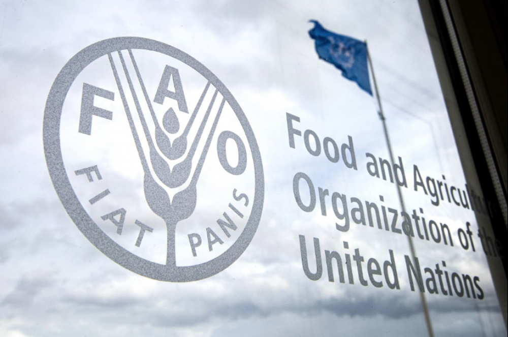 Índice de Preços de Alimentos da FAO registra nível mais alto em uma década