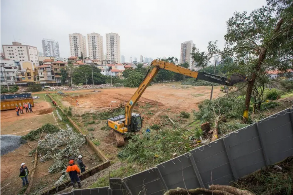 Metrô de SP derruba 145 árvores para obras na zona leste; vizinhos protestam