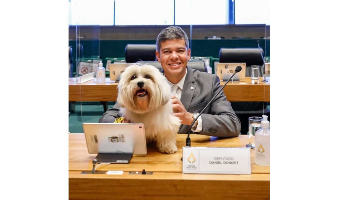 Distrital leva pet para plenário após norma autorizar acesso de bichos à CLDF