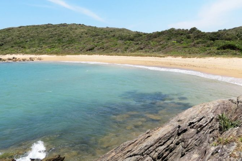 É falso que jovem sob efeito de LSD dilacerou a barriga do namorado em praia