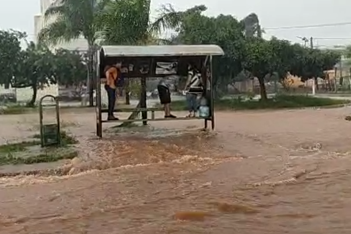 Vídeo: momentos de aflição no ponto de ônibus