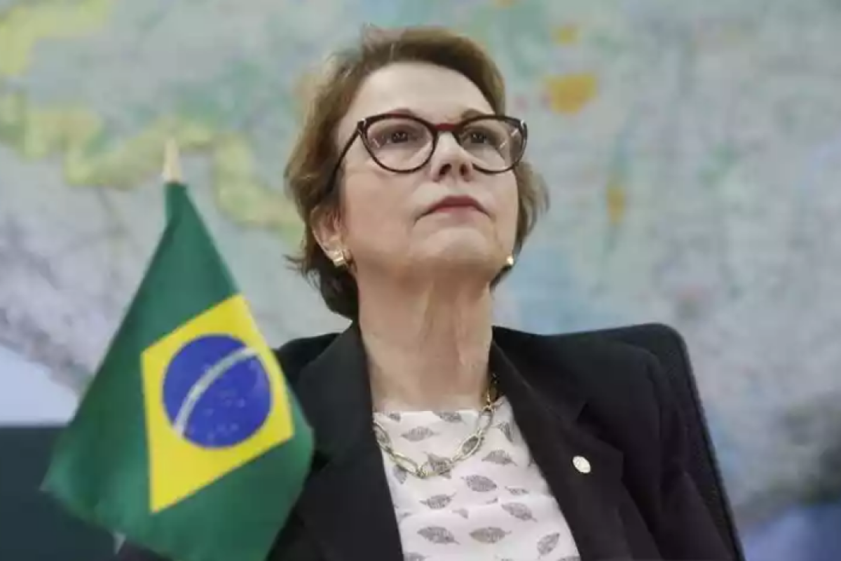 Propriedade da senadora Tereza Cristina é invadida por sem-terra