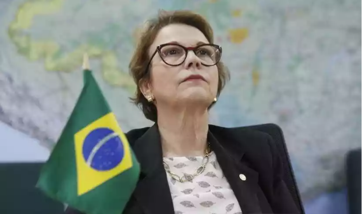 Tereza Cristina: Marco temporal possibilita paz no campo e segurança juridica
