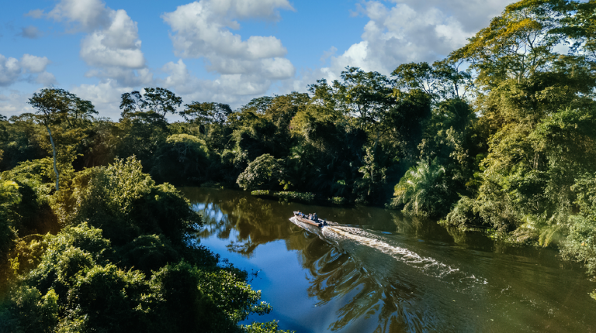 Visão do Correio: Amazônia é prioridade, mas o cerrado não deve ser esquecido