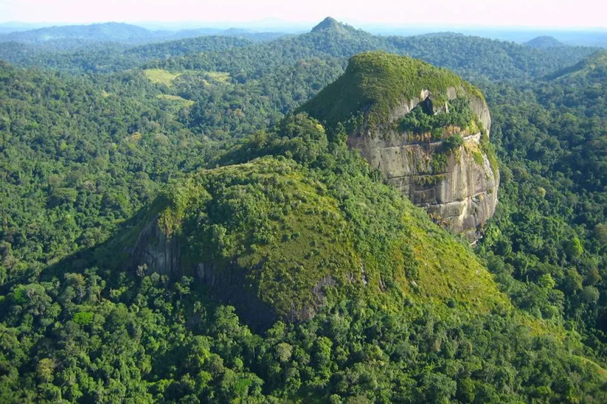 Helicóptero com servidor da Funai desaparece na Amazônia