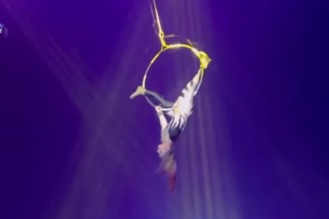 Casal de trapezistas cai durante apresentação de circo em Florianópolis
