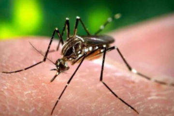Minas Gerais registra primeira morte por dengue em 2024  - Agência Brasil