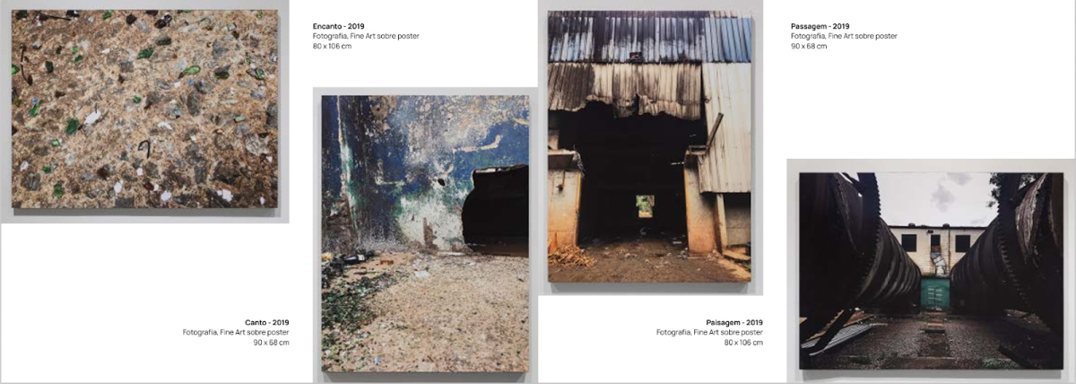 Thaís Kuri lança catálogo de exposição que reflete sobre arte e ecologia