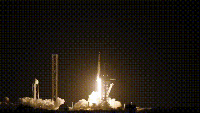 Primeira missão tripulada da SpaceX para sobrevoar os polos terrestres - (crédito: Spacex) Primeira missão tripulada da SpaceX para sobrevoar os polos terrestres - (crédito: Spacex)