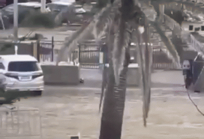 Vídeo: homem desarma atirador em ataque na Austrália  -  (crédito: Reprodução/Redes sociais ) -Vídeo: homem desarma atirador em ataque na Austrália  -  (crédito: Reprodução/Redes sociais )