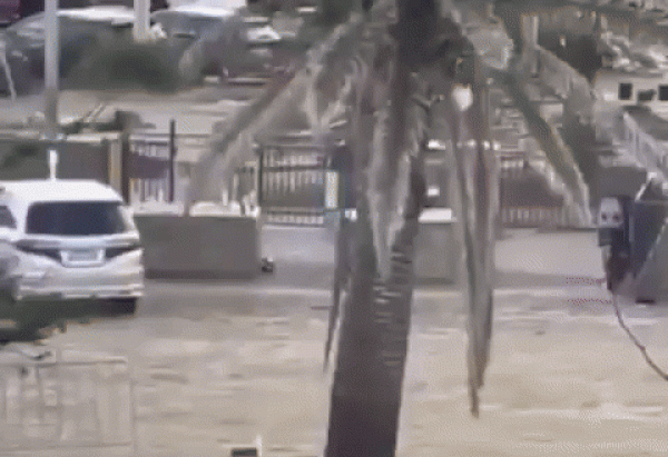 Reprodução/Redes sociais