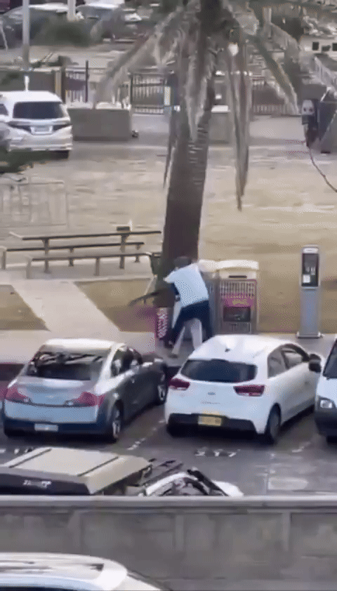 Vídeo: homem desarma atirador em ataque na Austrália - (crédito: Reprodução/Redes sociais ) Vídeo: homem desarma atirador em ataque na Austrália - (crédito: Reprodução/Redes sociais )