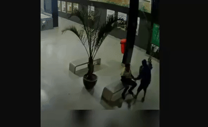 roubo -  (crédito: reprodução)