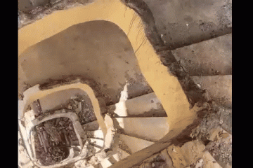 torre palace -  (crédito: produção)