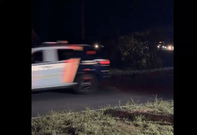 Bolsonaro -  (crédito: produção)