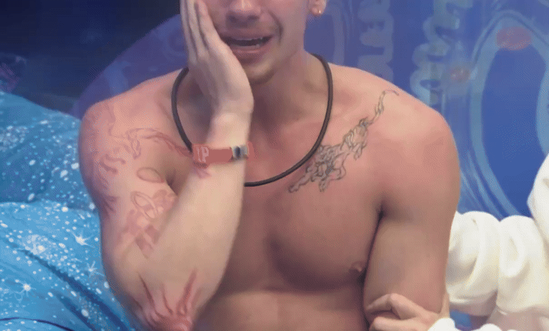 bbb26 -  (crédito: reprodução)