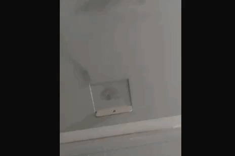 crime caldas novas -  (crédito: reprodução)