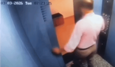 elevador -  (crédito: reprodução)