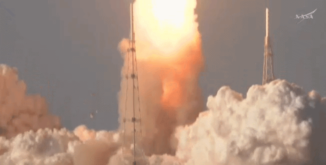 artemis -  (crédito: reprodução)