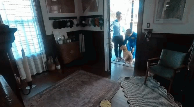 artemis -  (crédito: reprodução)