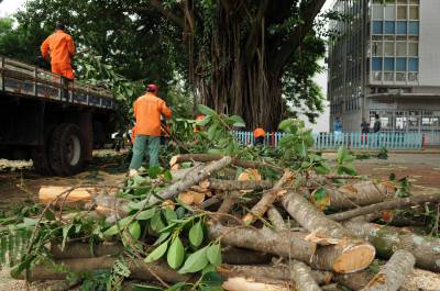 Ibram muda normas de licenciamento ambiental no DF; veja novidades