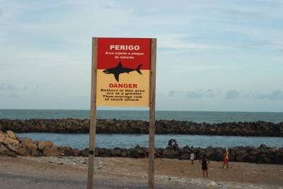 Placa qua alerta perigo sobre presença de tubarões na praia Del Chifre, em Olinda, Pernambuco -  (crédito: Juliana Leitão/DP/D.A Press) -Placa qua alerta perigo sobre presença de tubarões na praia Del Chifre, em Olinda, Pernambuco -  (crédito: Juliana Leitão/DP/D.A Press)