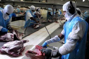 O setor de 'abate de aves', por exemplo, foi o que mais empregou imigrantes entre 2013 a 2022 -  (crédito: Gustavo Moreno/CB/D.A Press)