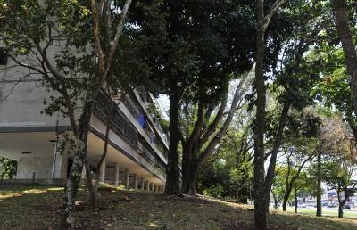 Ed Alves/CB/D.A Press