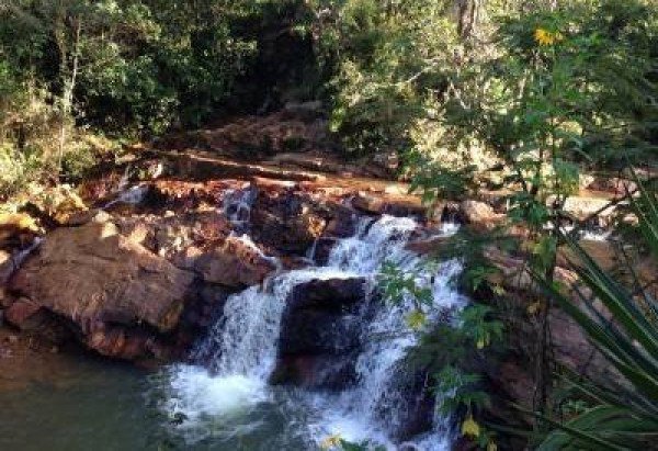 Gustavo Halfeld/Divulgação