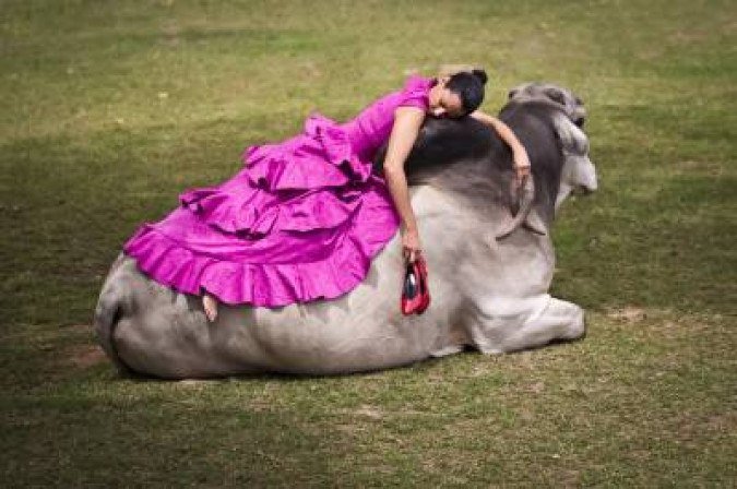 03/08/2010. Crédito: Amanda Melo/Divulgação. Mulher deitada sobre boi nelore com chifres na mão, imagem da exposição Duplo olhar.