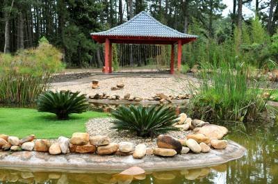 Entre as sugestões da turma está o Jardim Botânico de Brasília -  (crédito: Marcelo Ferreira/CB/D.A Press)