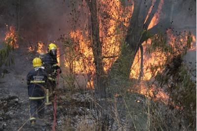 Ana Rayssa/Esp. CB/D.A Press