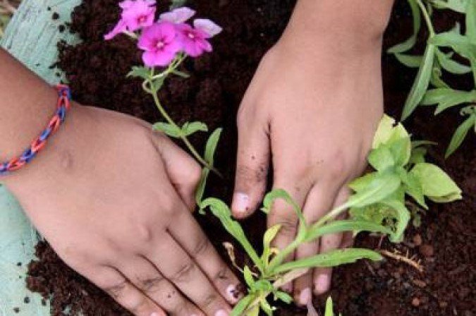 Pesquisa revela que maioria da população brasileira acredita que educação ambiental deve ser introduzida até os 5 anos de idade
