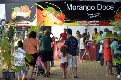 26ª Festa do Morango apresenta delícias da produção de Brazlândia 