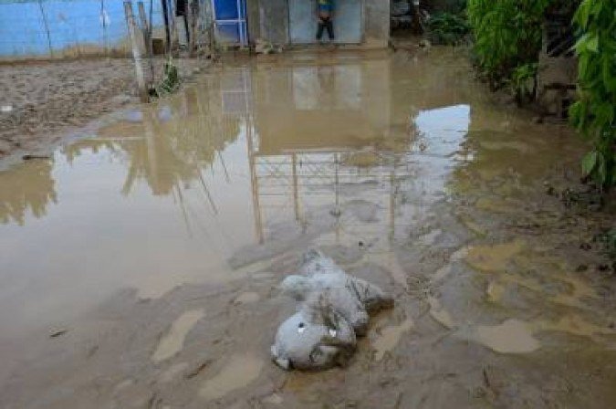  (crédito: TED ALJIBE)