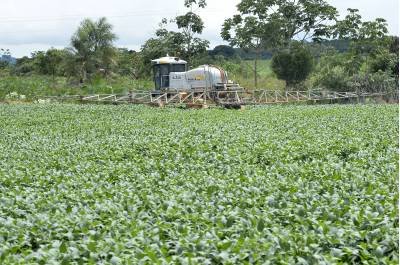 28/01/2016. Crédito: Marcelo Ferreira/CB/D.A Press. Brasil. Brasília - DF. Produção de soja no Distrito Federal.