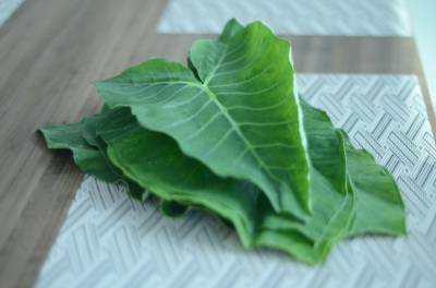 A taioba é uma das PANCs mais apreciadas pela culinária popular -  (crédito: Jhonatan Vieira/Esp. CB/D.A Press) -A taioba é uma das PANCs mais apreciadas pela culinária popular -  (crédito: Jhonatan Vieira/Esp. CB/D.A Press)