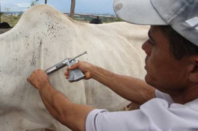 O Brasil se autodeclarou um país livre de febre aftosa sem vacinação e buscará o reconhecimento do status pela Organização Mundial de Saúde Animal (OMSA) -  (crédito: Toninho Tavares/Ag?ncia Bras?lia.)