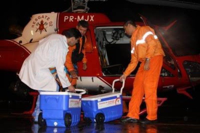 (crédito: ICDF/Divulgação) (crédito: ICDF/Divulgação)
