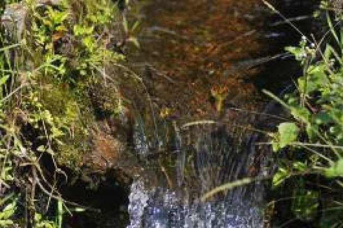 Projeto vai mapear os mananciais existentes dentro do Distrito Federal para apoiar as políticas ambientais 