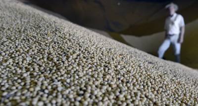  (crédito: Marcelo Ferreira/CB/D.A Press)