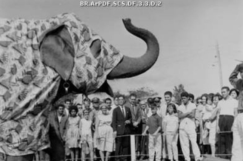 Nely era fantasiada e se apresentava ao público, o que era comum nos primeiros anos de existência do zoo