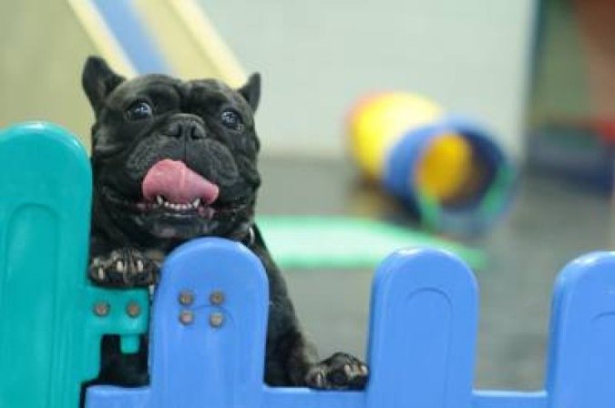  (crédito: Luis Nova/Esp. CB/D.A Press)