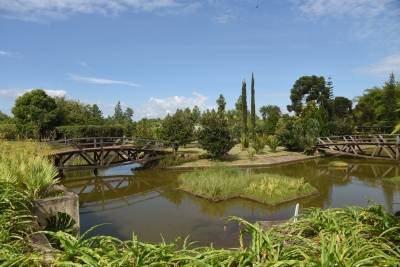 05/02/2019. Credito: Ed Alves/CB/D.A Press. Cidades. Jardim Botanico de Brasilia.
