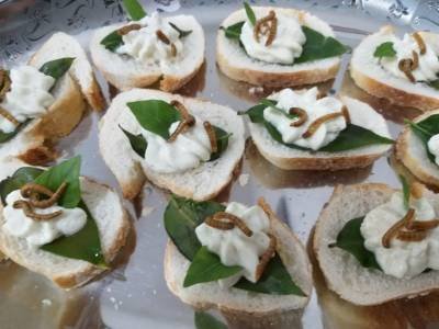 Crédito: Chef Casé Oliveira/Divulgação. O poder nutritivo dos insetos. 