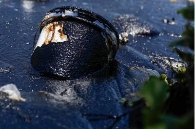 21/10/2019 Crédito: Leandro de Santana/Esp. DP. Pernambuco. Manchas de oleo encontradas na Praia do Paiva no Cabo de Santo Agostinho.