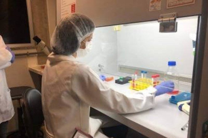 Em laboratório da UnB, estudantes pesquisam células de câncer de mama - (crédito: Jo?o Paulo Longo/UNB) Em laboratório da UnB, estudantes pesquisam células de câncer de mama - (crédito: Jo?o Paulo Longo/UNB)