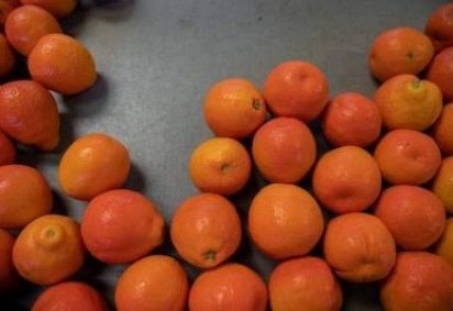 Organic tangerines about to be packaged for shipping at Stehly Farms Organics in Valley Center, California on March 25, 2020.  Since the Coronavirus outbreak in the United States the demand for fruit and vegetables has been high since Americans have been purchasing food in mass quantities.   / AFP / ARIANA DREHSLER -  (crédito: ARIANA DREHSLER) -Organic tangerines about to be packaged for shipping at Stehly Farms Organics in Valley Center, California on March 25, 2020.  Since the Coronavirus outbreak in the United States the demand for fruit and vegetables has been high since Americans have been purchasing food in mass quantities.   / AFP / ARIANA DREHSLER -  (crédito: ARIANA DREHSLER)